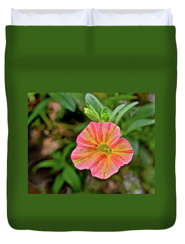 Flowers Duvet Cover featuring the photograph 2021 Tropical Sunrise Greeting by Janis Senungetuk