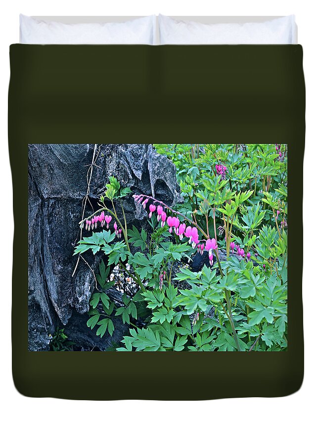 Spring Flowers Duvet Cover featuring the photograph 2021Late April Bleeding Hearts 1 by Janis Senungetuk