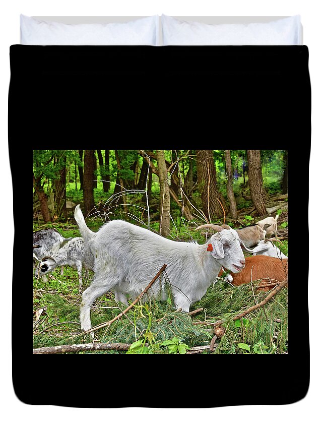 Goats Duvet Cover featuring the photograph 2022 Acewood Basin Goat Maintenance Crew by Janis Senungetuk