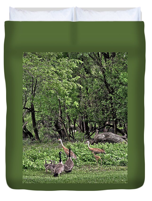 Sandhill Cranes Duvet Cover featuring the photograph 2022 Busy Afternoon at the Basin by Janis Senungetuk
