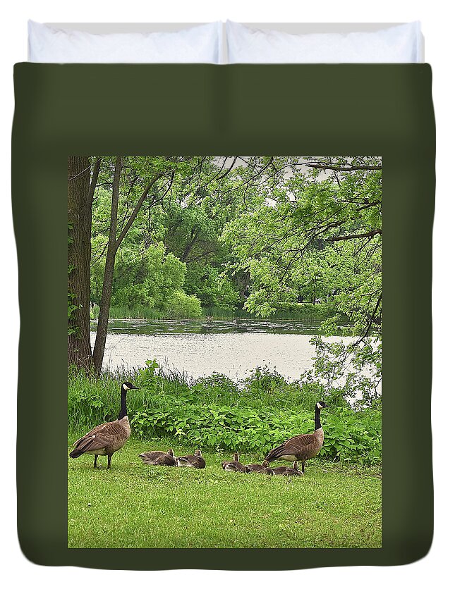 Canadian Geese Duvet Cover featuring the photograph 2022 Geese and Goslings Visiting the Basin by Janis Senungetuk