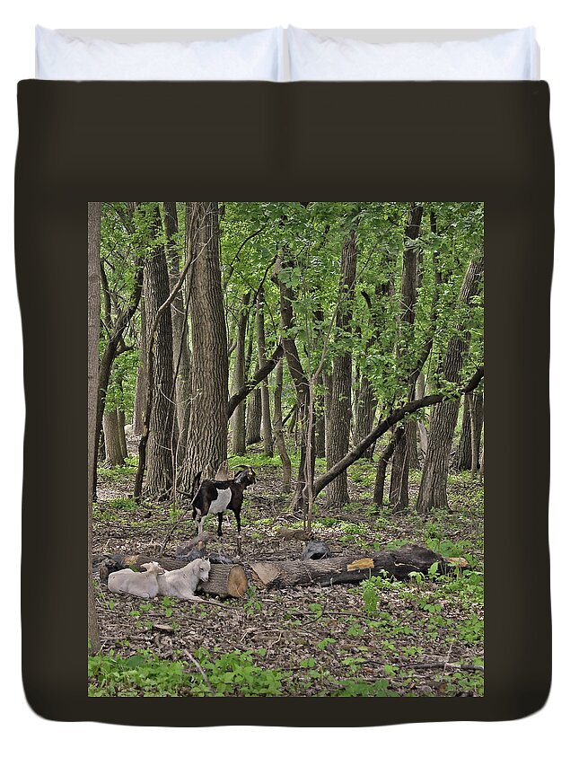 Goats Duvet Cover featuring the photograph 2022 Visiting Goats 1 by Janis Senungetuk