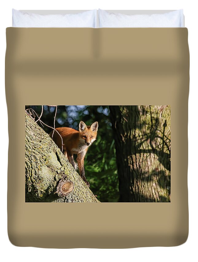 Redfox Duvet Cover featuring the photograph Fox Kit #23 by Brook Burling