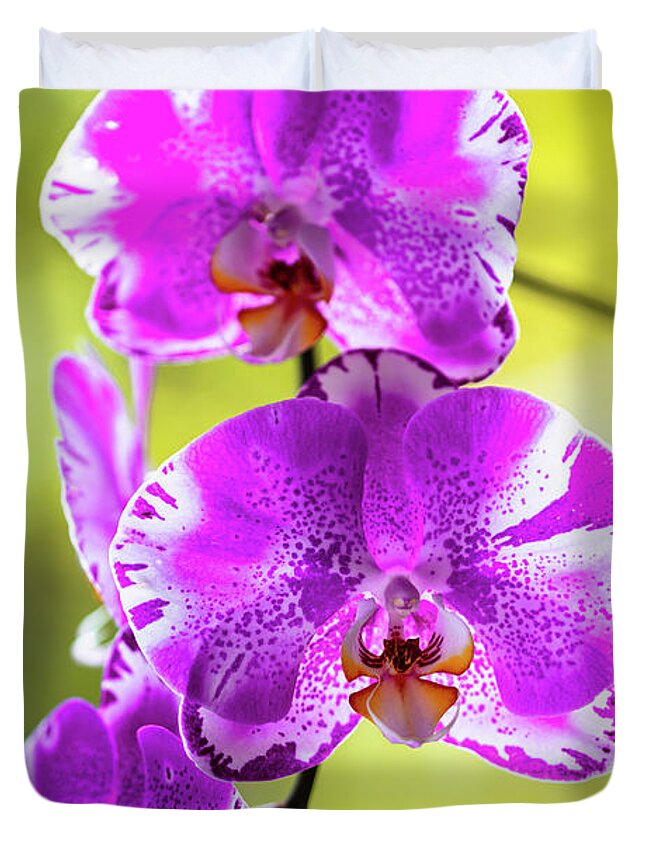 Background Duvet Cover featuring the photograph Purple Orchid Flowers #25 by Raul Rodriguez