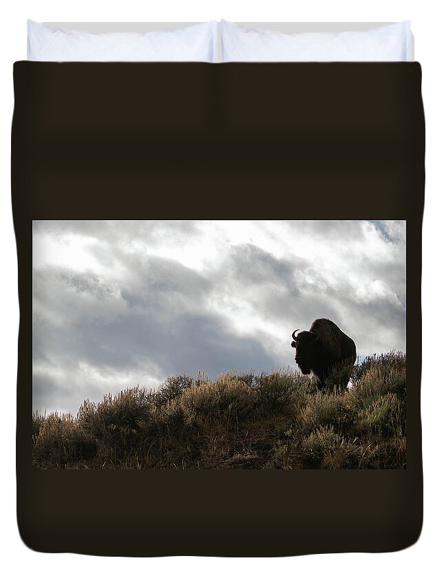 Bison Duvet Cover featuring the photograph Bison #3 by Julie Argyle