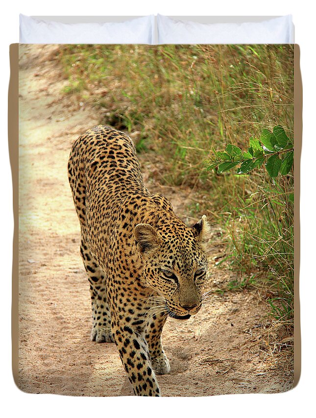 Leopard Duvet Cover featuring the photograph Leopard #1 by Richard Krebs