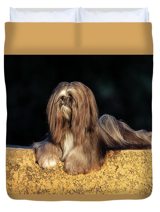 Lhasa Apso Duvet Cover featuring the photograph Lhasa Apso #4 by Diana Andersen