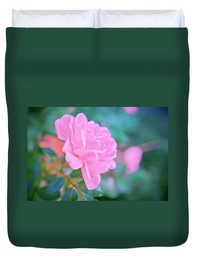 Pink Rose Duvet Cover featuring the photograph Pink Rose a by Lilia S
