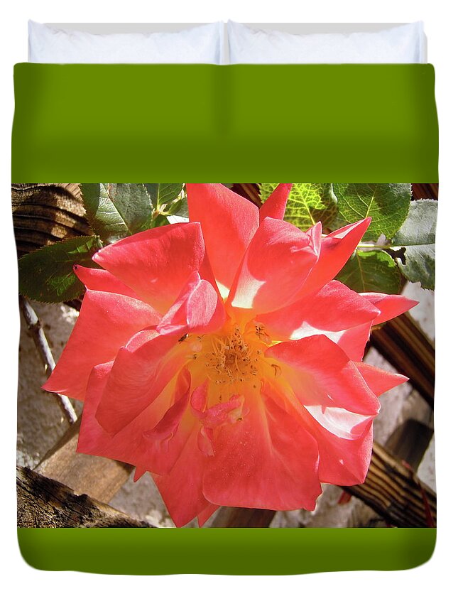 Rose Duvet Cover featuring the photograph Pink Rose #3 by Stephanie Moore