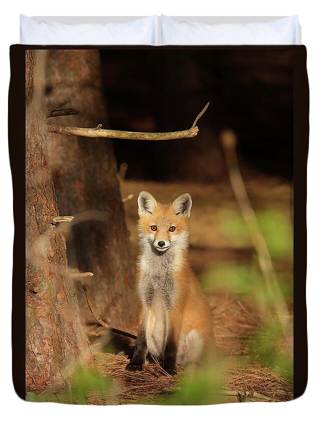 Red Fox Duvet Cover featuring the photograph Red Fox #4 by Brook Burling