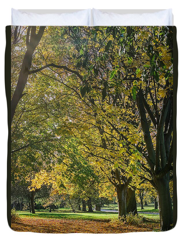 Sunny November Duvet Cover featuring the photograph Regents Park #3 by Raymond Hill
