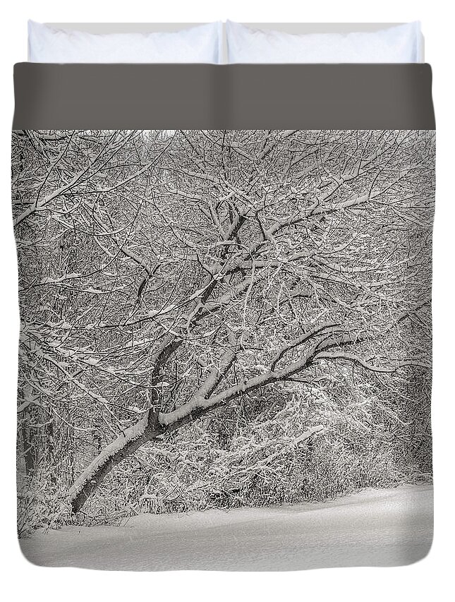 Winter Duvet Cover featuring the photograph Trees in Winter's Snow #3 by Alan Goldberg