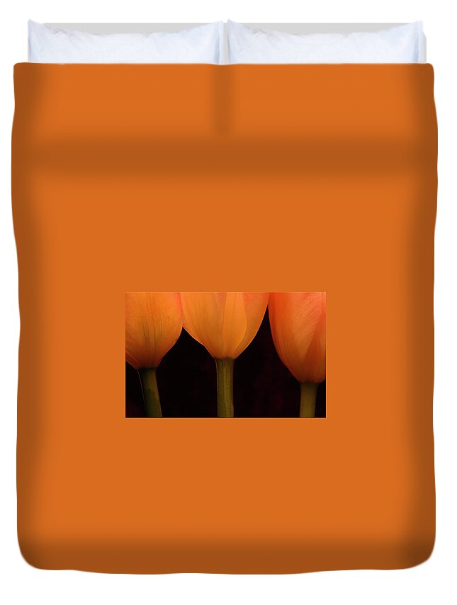 Macro Duvet Cover featuring the photograph 3 Tulips by Julie Powell