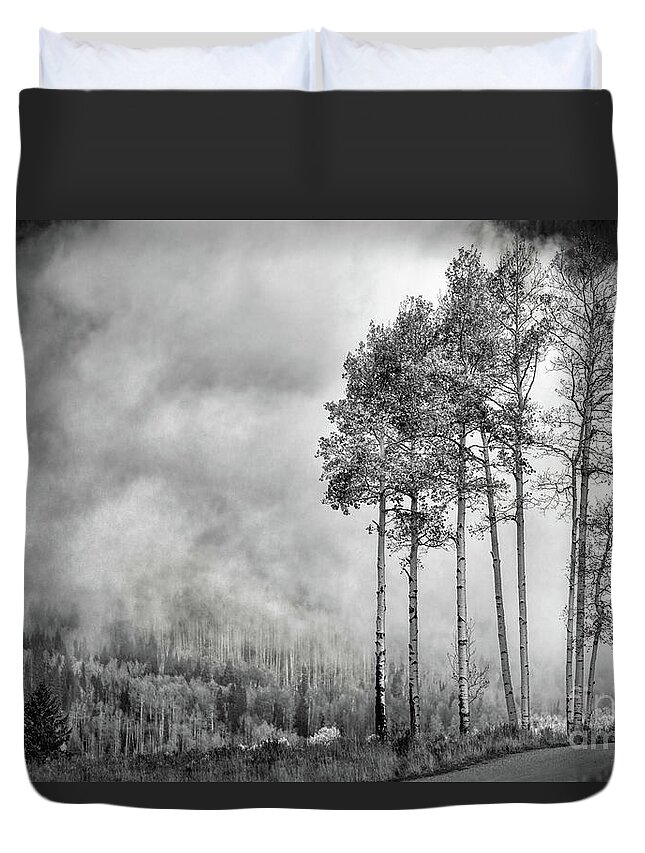 Colorado Duvet Cover featuring the photograph Untitled #3 by Doug Sturgess