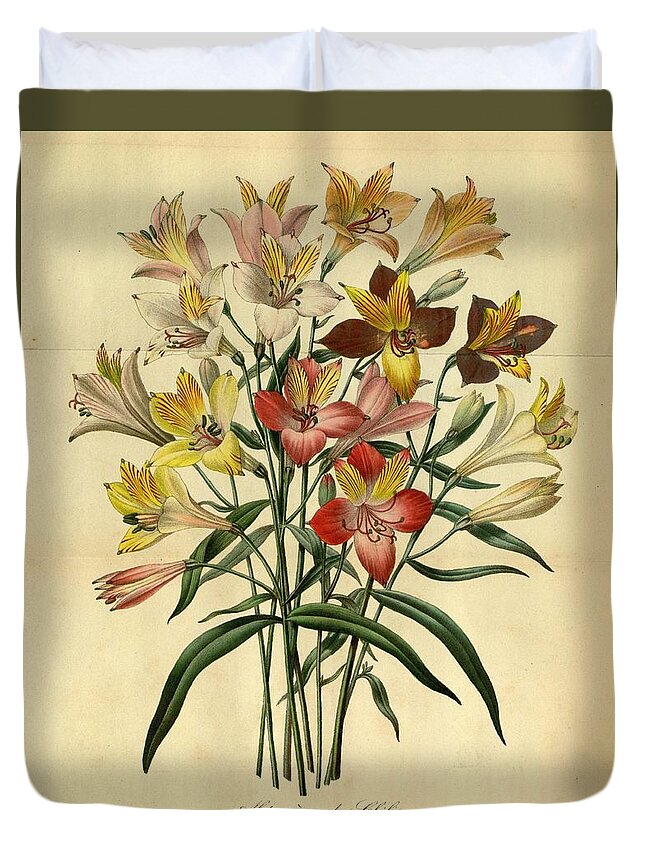 Orchid Duvet Cover featuring the mixed media Vintage Flower #38 by World Art Collective