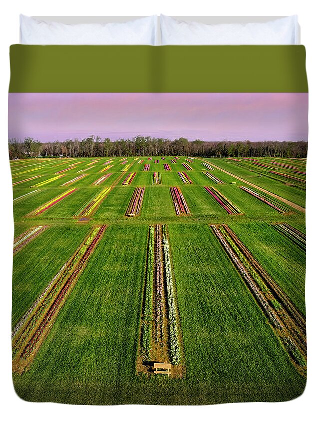 Tulip Duvet Cover featuring the photograph Aerial Tulip Farm #4 by Susan Candelario