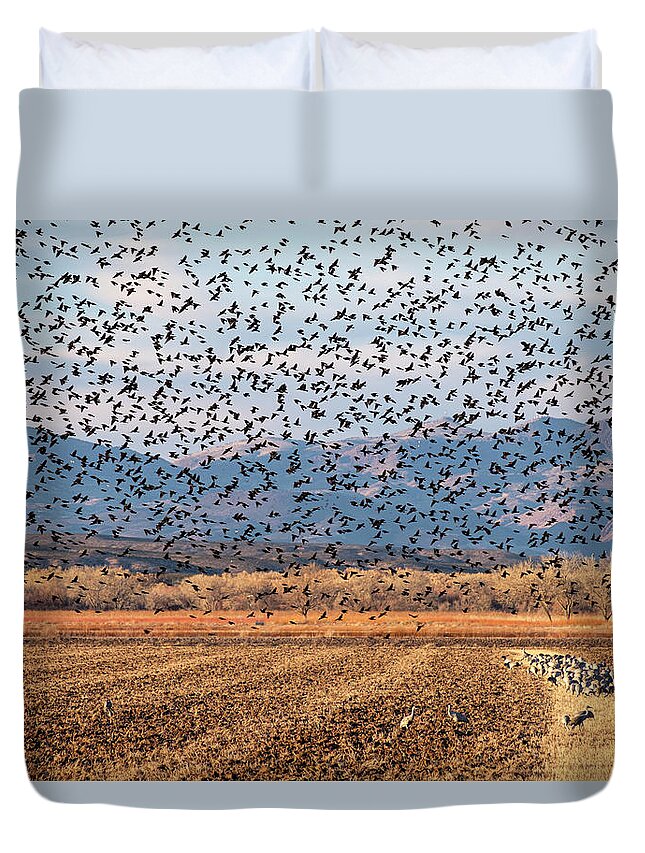 Birds Duvet Cover featuring the photograph 4 and 20 Hundred Blackbirds by Mary Lee Dereske