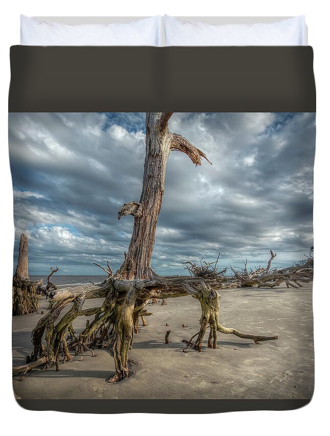 Beach Duvet Cover featuring the photograph Driftwood Beach by Carolyn Hutchins