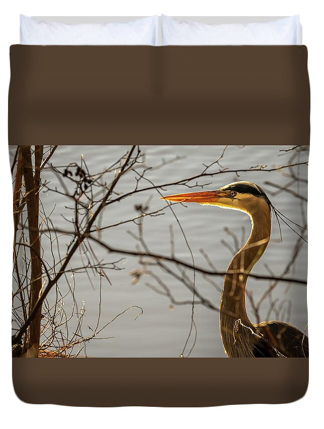 Wildlife Duvet Cover featuring the photograph Great Blue Heron #4 by Rick Nelson