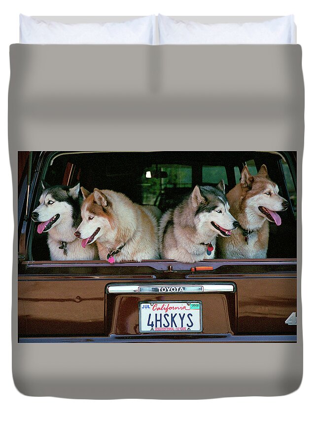 Four Huskies Duvet Cover featuring the photograph 4 Huskies by Bonnie Colgan