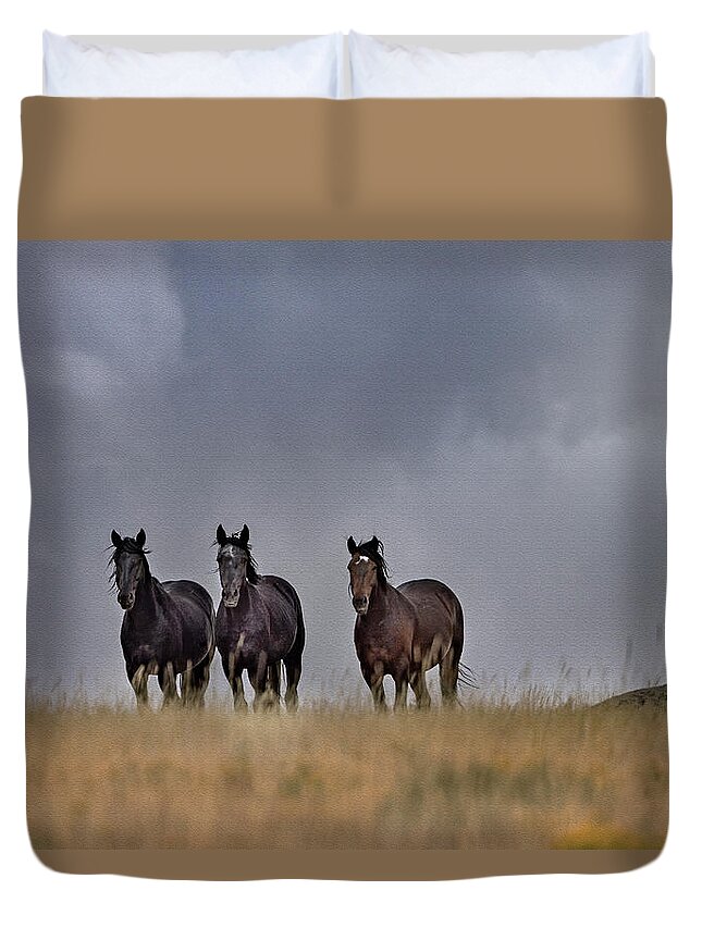 Horse Duvet Cover featuring the photograph Wild Horses #4 by Laura Terriere