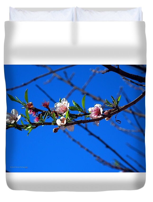 Botanical Duvet Cover featuring the photograph Winter Peach Blossoms #4 by Richard Thomas