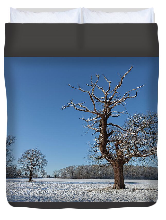 Winter Duvet Cover featuring the photograph Winter Wonderland #4 by Nick Atkin