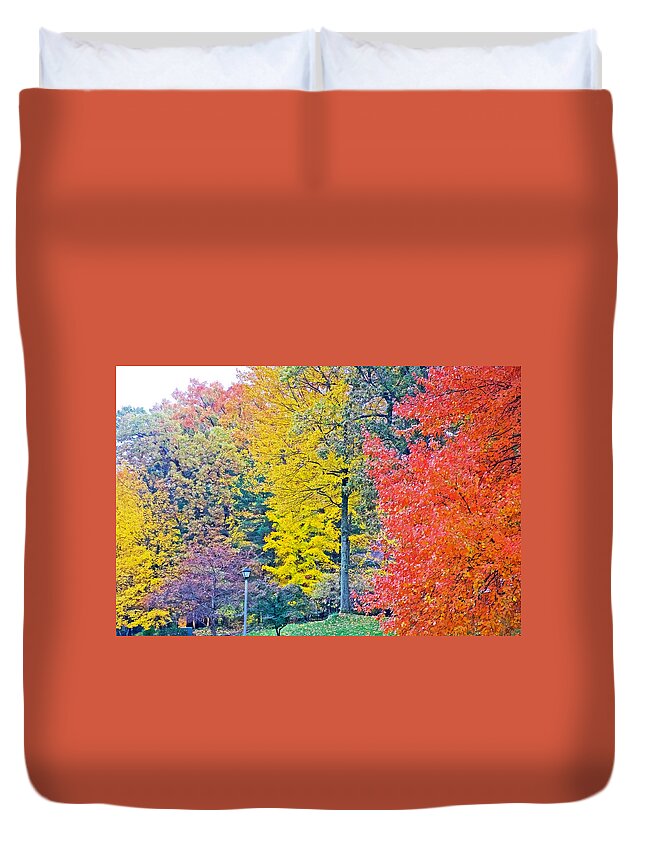 Autumn In Thornapple River Area In Grand Rapids Duvet Cover featuring the photograph Autumn in Thornapple River Area in Grand Rapids, Michigan by Ruth Hager