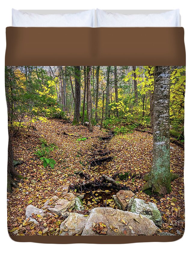 2018 Duvet Cover featuring the photograph Appalachian Autumn by Stef Ko