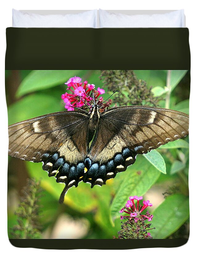 Butterfly Duvet Cover featuring the photograph Butterfly #5 by Caryn La Greca