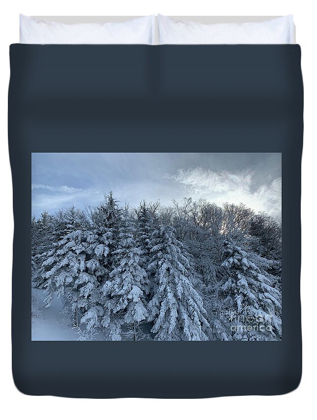 Duvet Cover featuring the photograph Winter Wonderland by Annamaria Frost