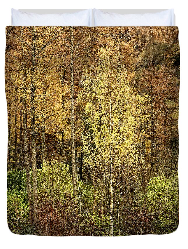 50 Shades Gold Golden Autumn Wonderland Fall Smart Uk Woodland Woods Forest Trees Foliage Leaves Beautiful Birch Crown Beauty Landscape Rich Colors Yellow Delightful Magnificent Mindfulness Serenity Inspirational Serene Tranquil Tranquillity Magic Charming Atmospheric Aesthetic Attractive Picturesque Scenery Glorious Impressionistic Impressive Pleasing Stimulating Magical Vivid Trunks Effective Green Bushes Delicate Gentle Joy Enjoyable Relaxing Pretty Uplifting Poetic Orange Red Fantastic Tale Duvet Cover featuring the photograph Fifty Shades Of Gold by Tatiana Bogracheva