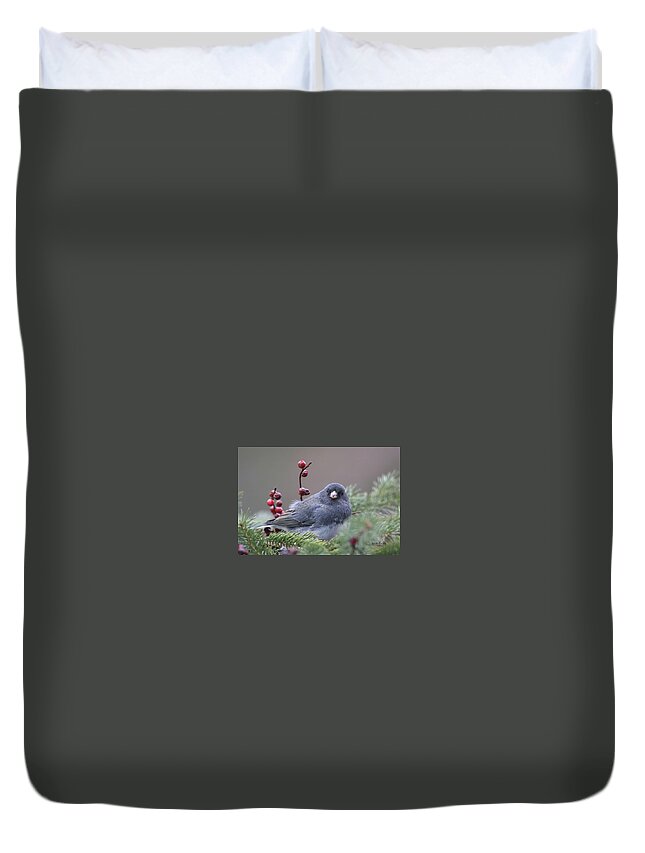 Bird Duvet Cover featuring the photograph Dark Eyed Junco #6 by Brook Burling