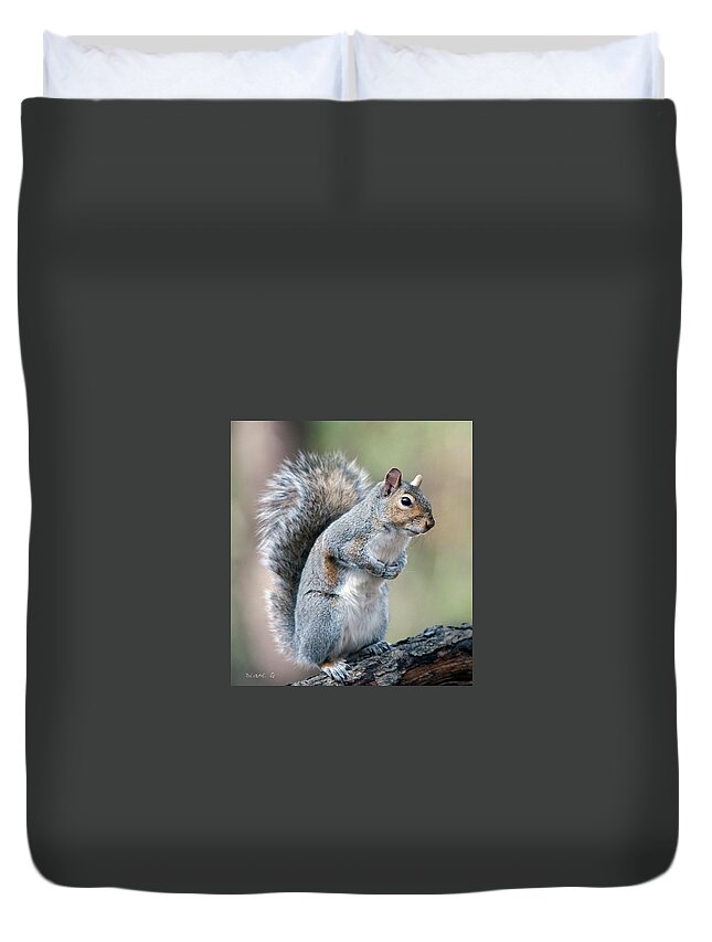 Squirrel Duvet Cover featuring the photograph Eastern Grey Squirrel #6 by Diane Giurco