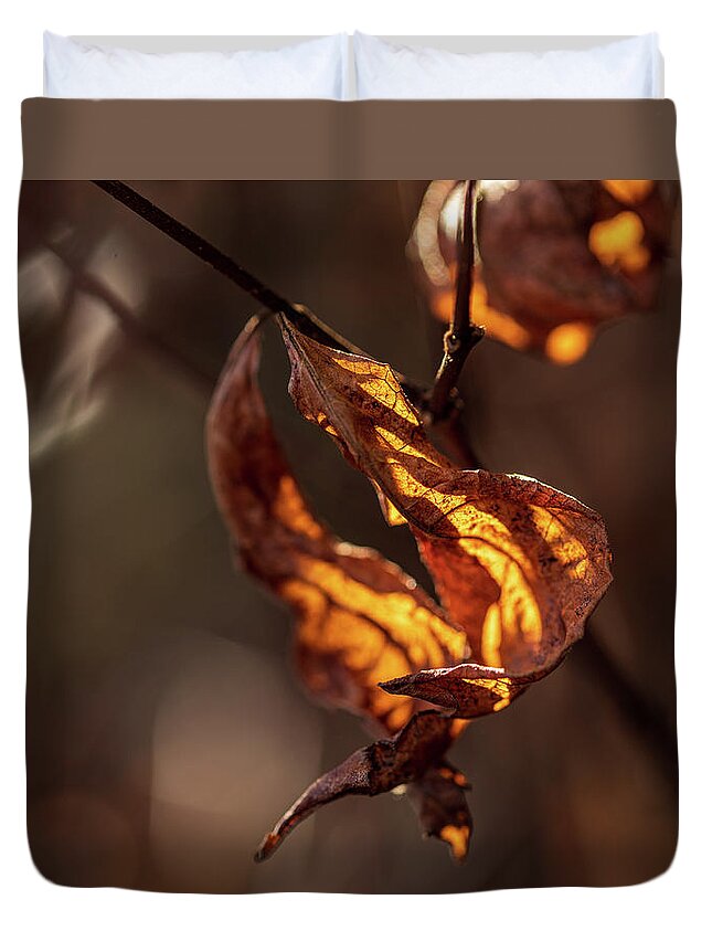 Landscape Duvet Cover featuring the photograph Nature Photography - Fall Leaves by Amelia Pearn