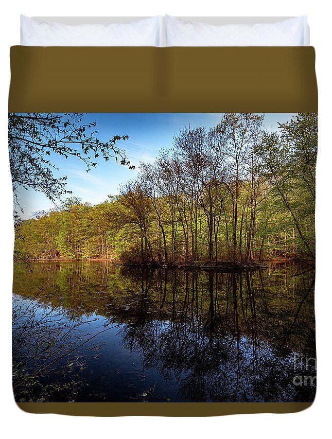 2020 Duvet Cover featuring the photograph Spring in Hudson Valey #6 by Stef Ko