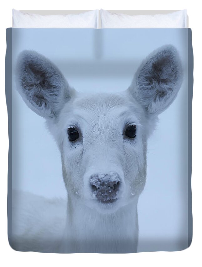 White Duvet Cover featuring the photograph White Doe #6 by Brook Burling