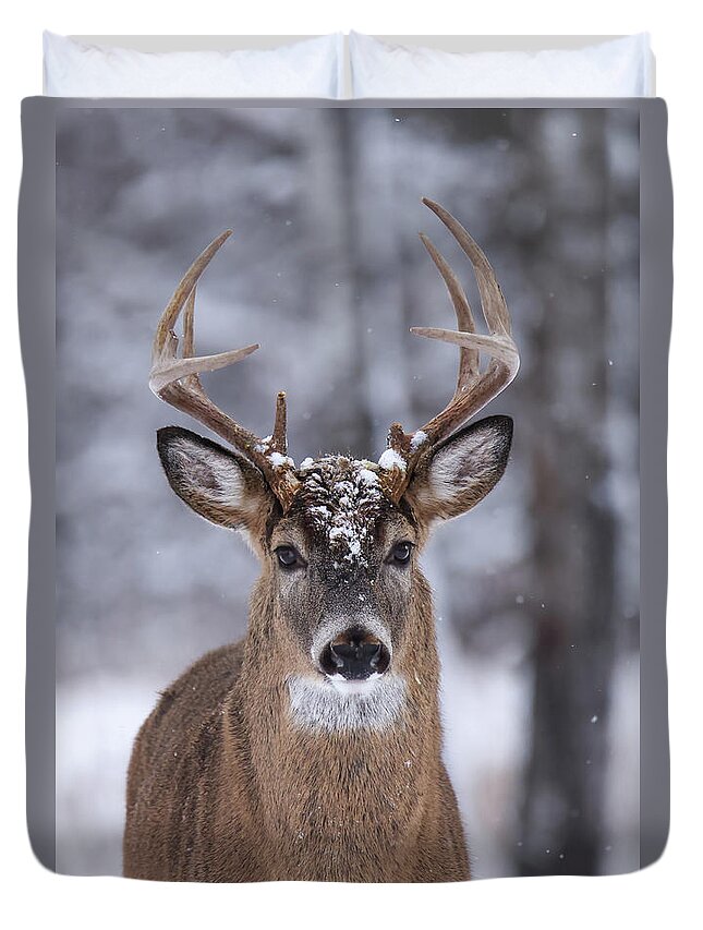 Whitetail Duvet Cover featuring the photograph Whitetail Buck #63 by Brook Burling