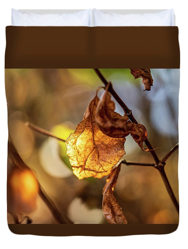 Landscape Duvet Cover featuring the photograph Nature Photography - Fall Leaves #7 by Amelia Pearn