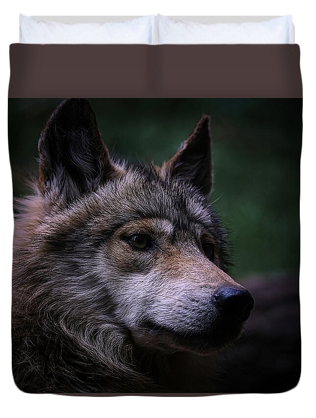 Wolf Duvet Cover featuring the photograph Mexican Grey Wolf #8 by Ernest Echols