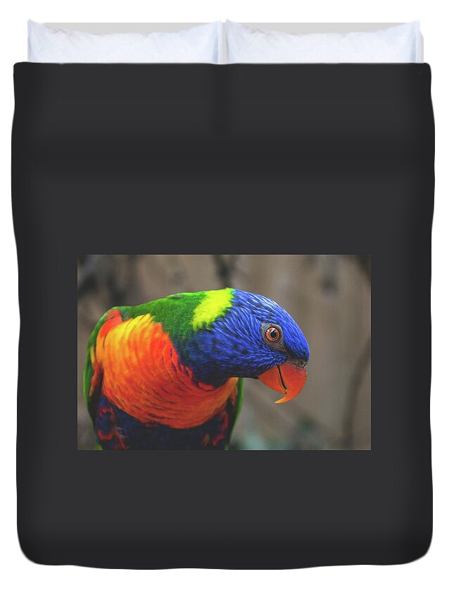 Birds Duvet Cover featuring the photograph Beautiful Bird Photograph #92 by Nature Photography