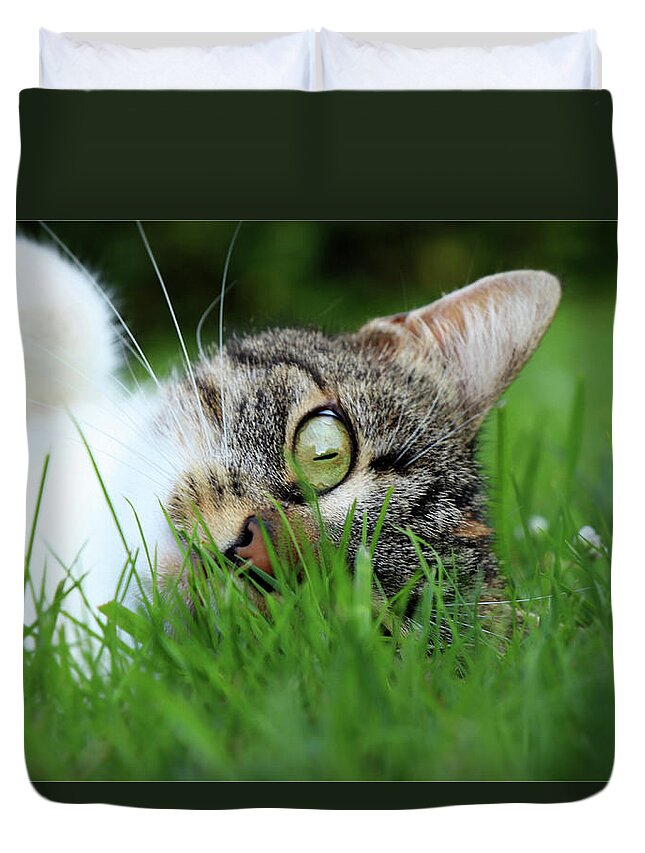 Domestic Cat Duvet Cover featuring the photograph Gaze of a domestic cat by Vaclav Sonnek