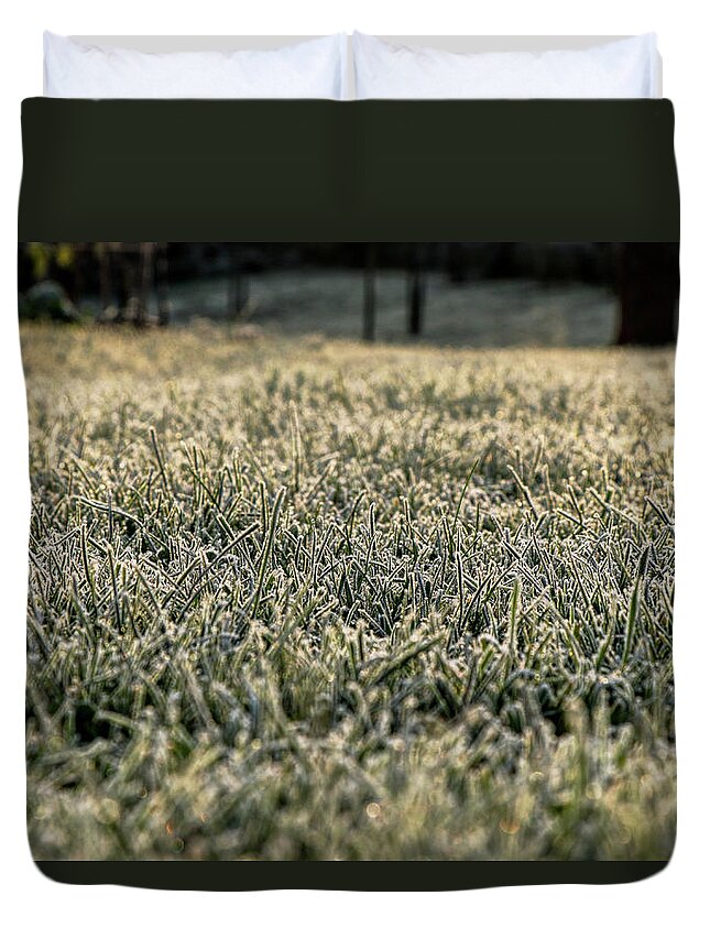 Environment Duvet Cover featuring the photograph Frozen green grass by Vaclav Sonnek