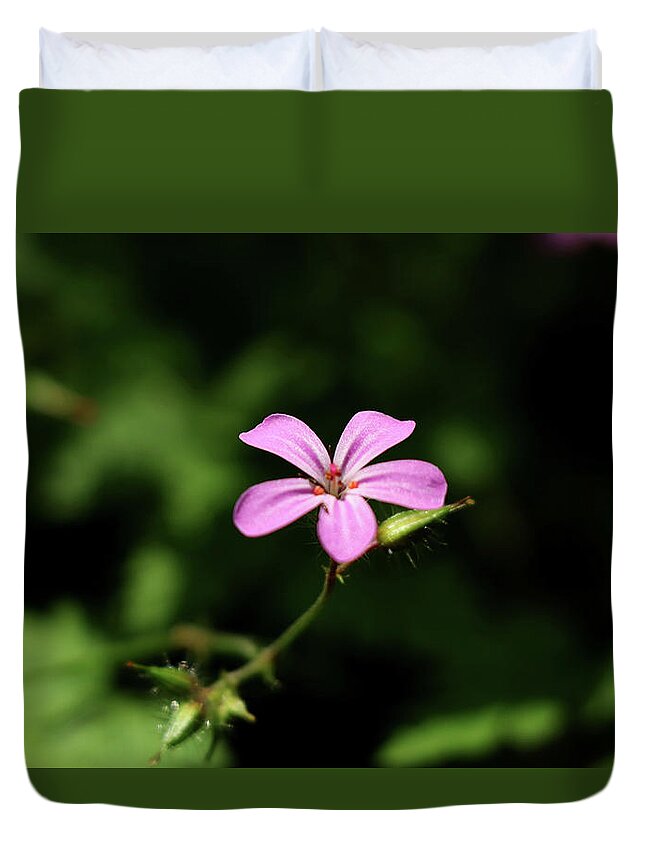 Herb-robert Duvet Cover featuring the photograph Pink bloom of Geranium robertianum by Vaclav Sonnek