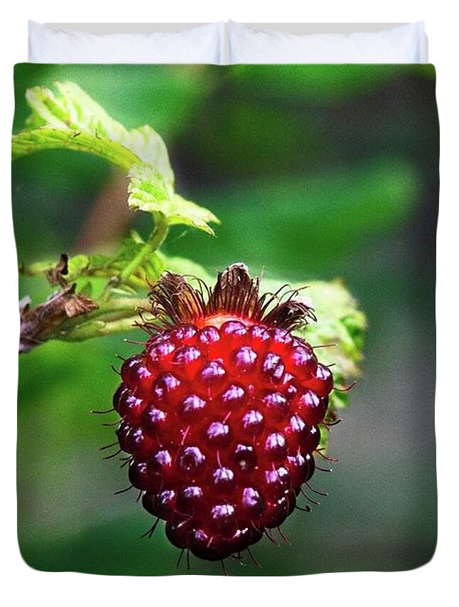 Alone Duvet Cover featuring the photograph A Berry Red Berry by David Desautel