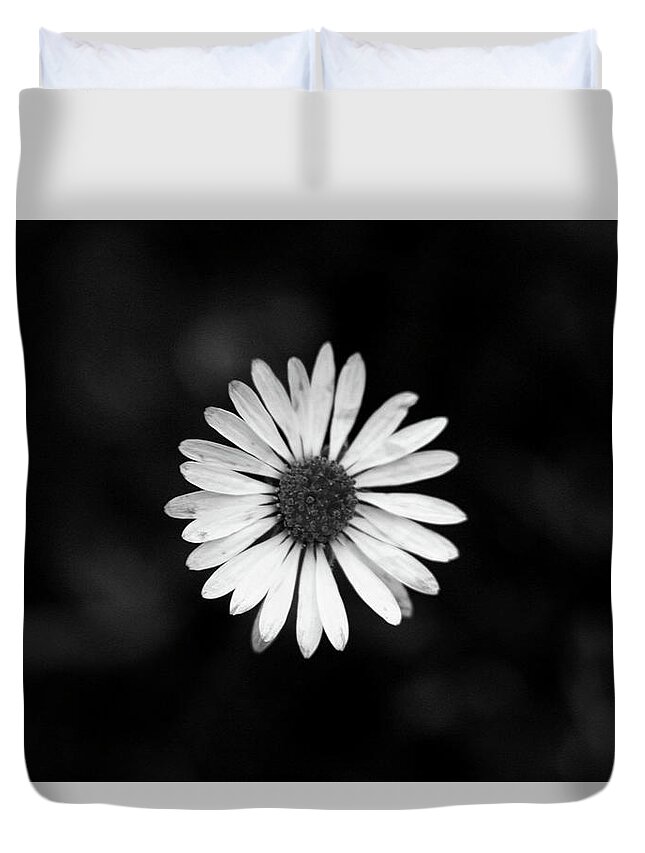 Bellis Perennis Duvet Cover featuring the photograph Black and white bloom of bellis perennis by Vaclav Sonnek