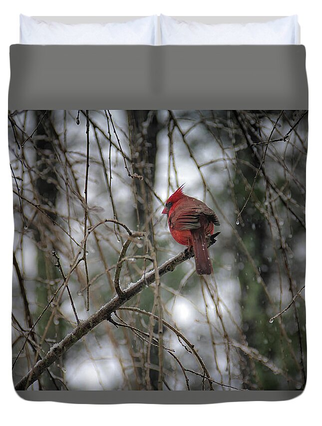 Bird Duvet Cover featuring the photograph A Cardinal in Winter by Laura Roberts