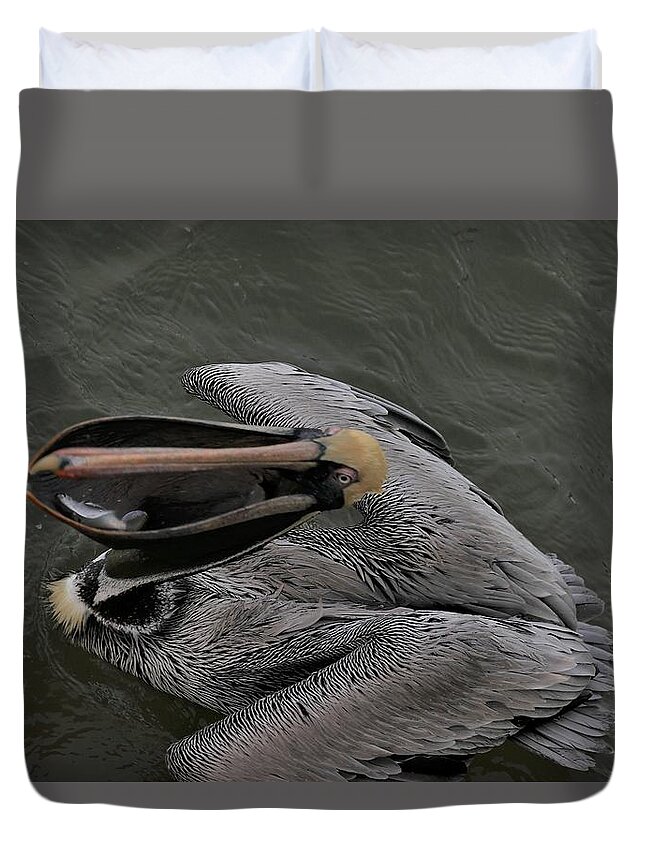 Pelicans Duvet Cover featuring the photograph A Catch of Three Fish by Mingming Jiang