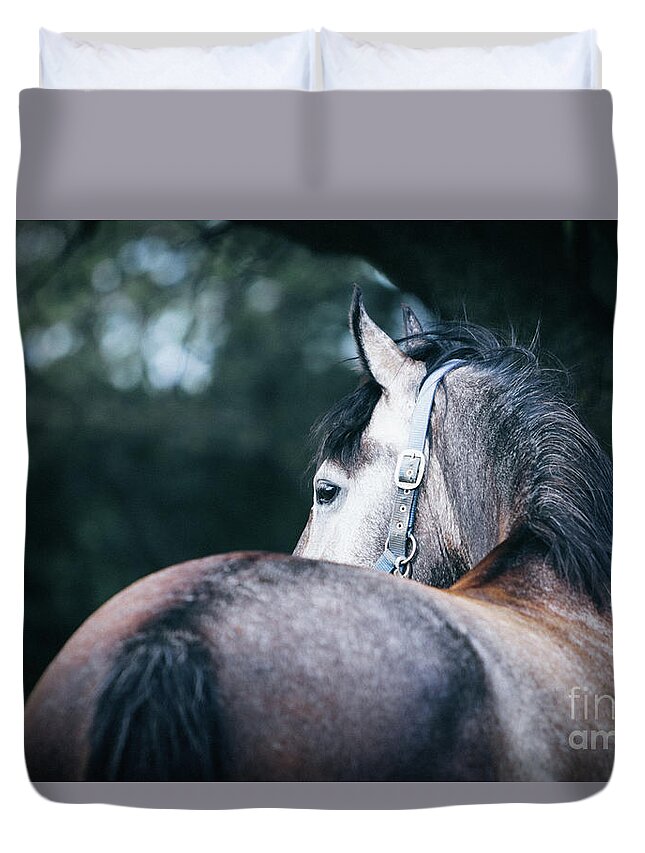 Horse Duvet Cover featuring the photograph A close-up portrait of horse profile in nature by Dimitar Hristov