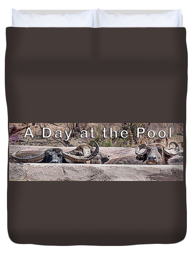  Duvet Cover featuring the photograph A Day at the Pool by Al Judge